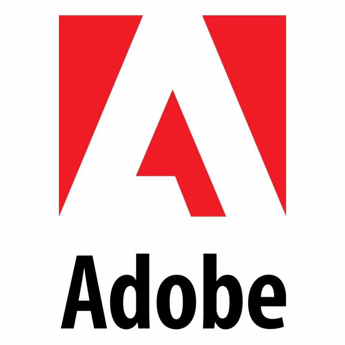 Partner 4